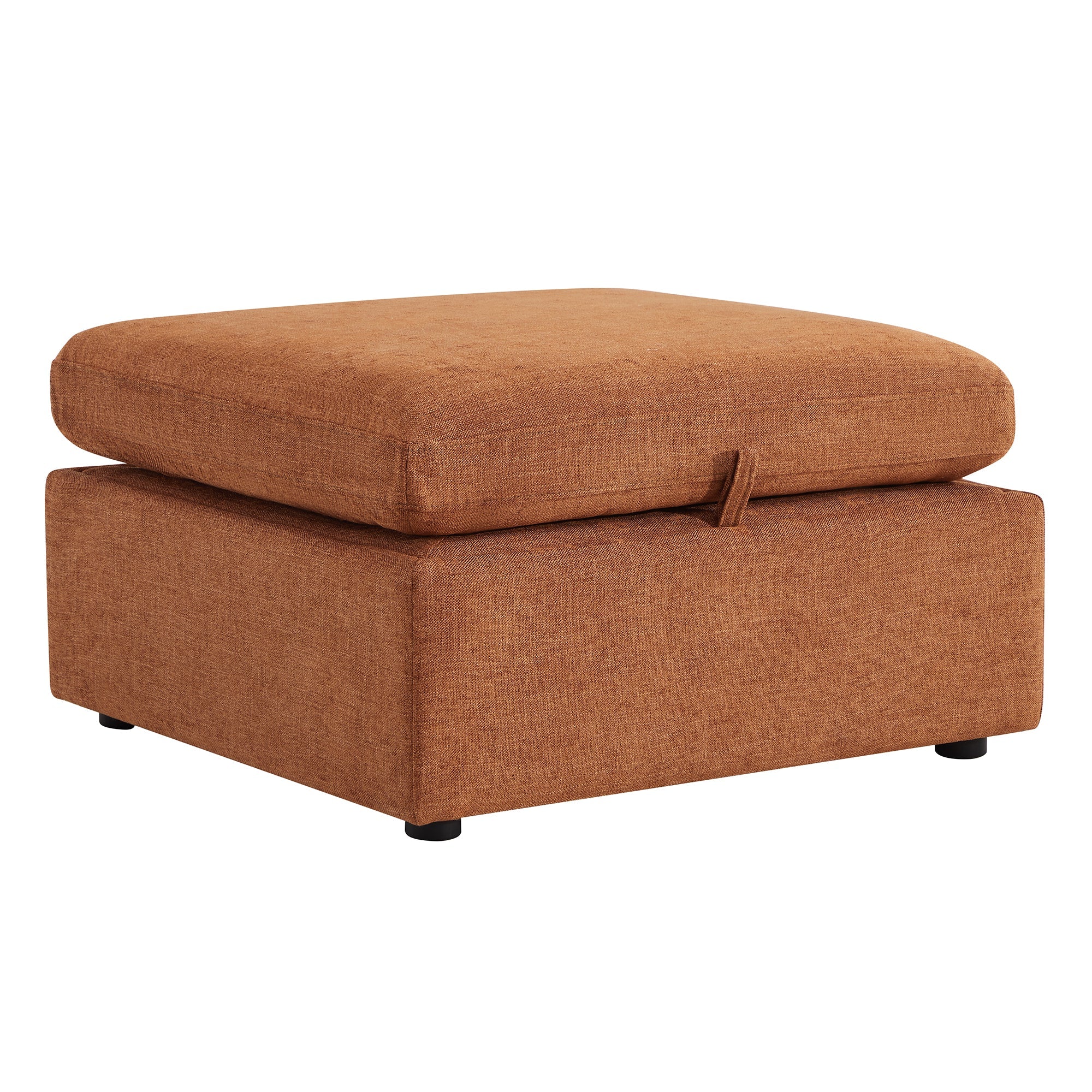 Delaney Storage Ottoman - Image 19